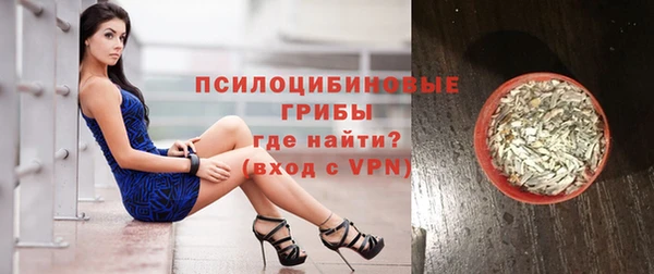 прущий лед Арсеньев